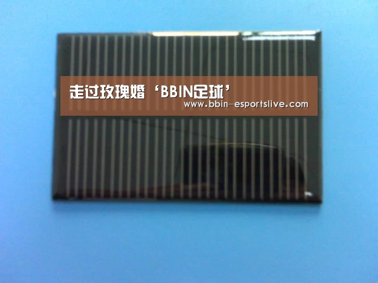 走过玫瑰婚‘BBIN足球’(图2) BBIN体育
