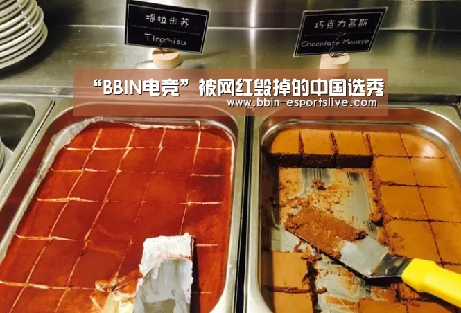 “BBIN电竞”被网红毁掉的中国选秀(图1) BBIN篮球
