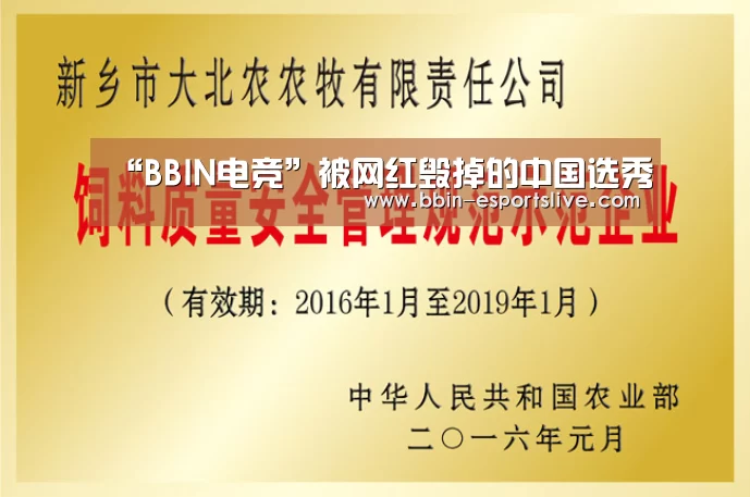 “BBIN电竞”被网红毁掉的中国选秀(图2) BBIN体育