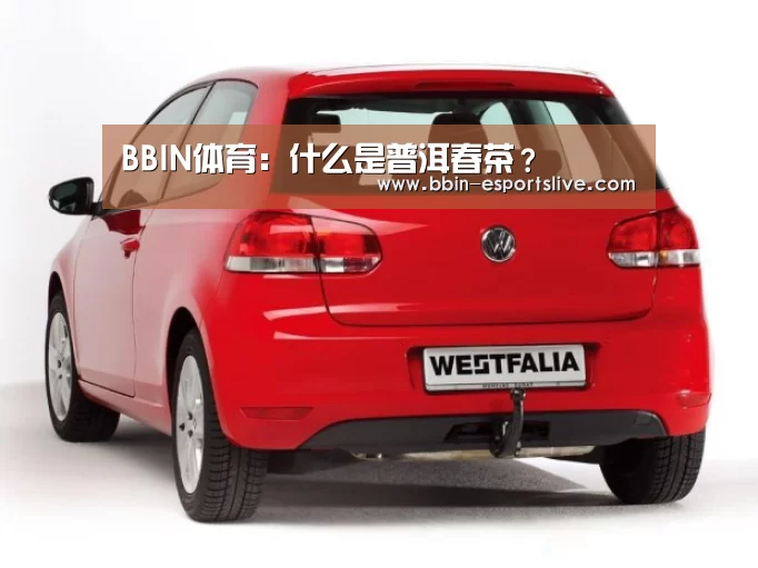 BBIN体育:什么是普洱春茶?(图4) BBIN体育