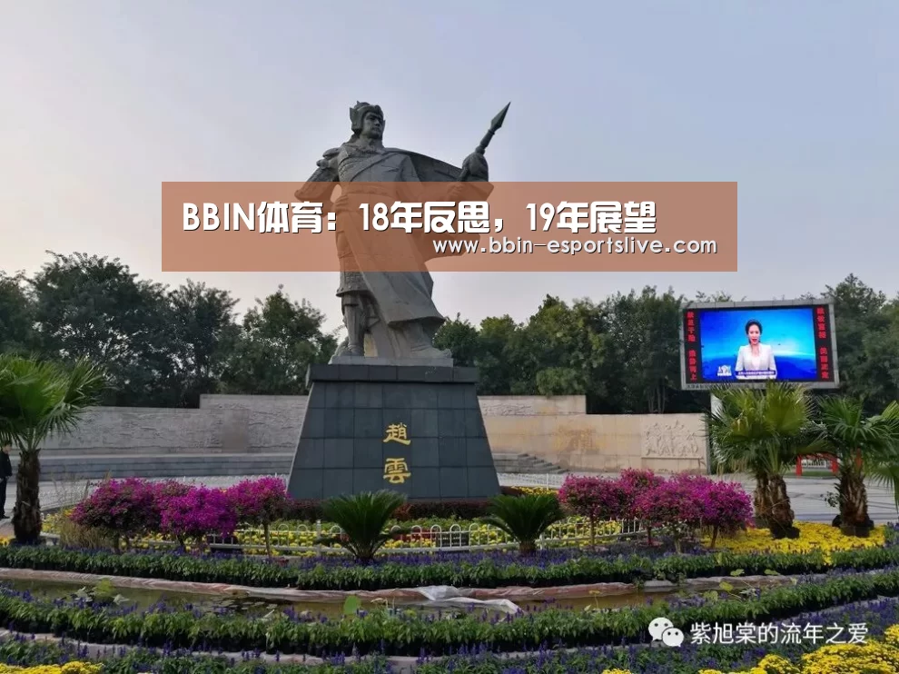 BBIN体育:18年反思,19年展望(图1) BBIN电竞